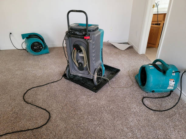 Best Flooded house restoration  in Yuba City, CA
