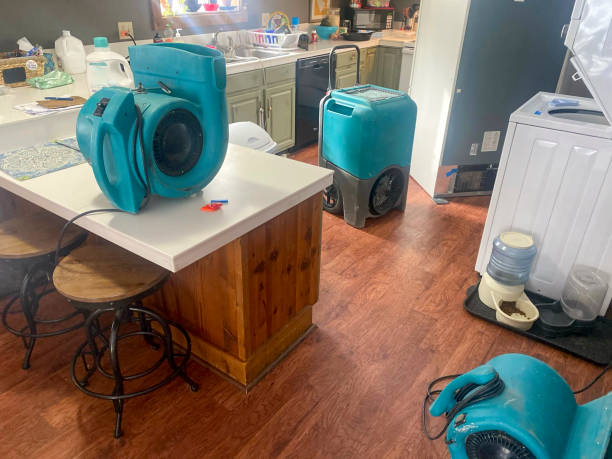 Best Basement water damage restoration  in Yuba City, CA