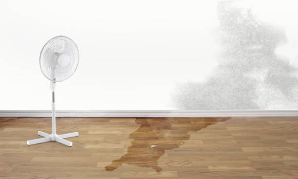 Best Water damage restoration near me  in Yuba City, CA