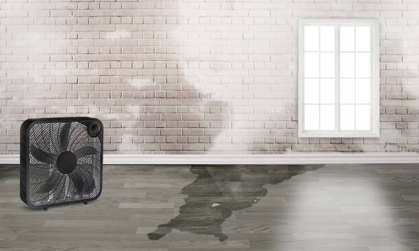 Yuba City, CA Water damage restoration Company