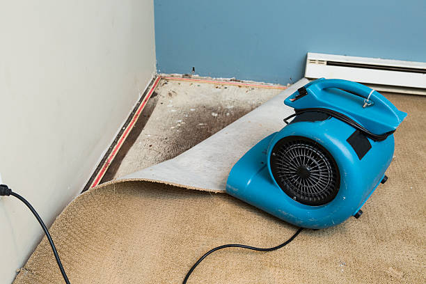 Best Water damage restoration specialists  in Yuba City, CA